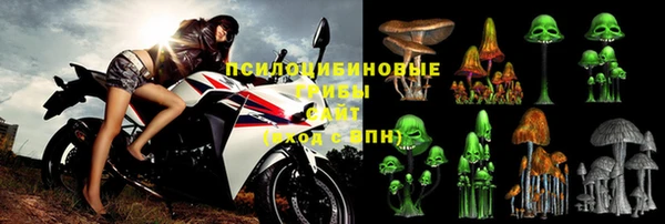 крисы Армянск